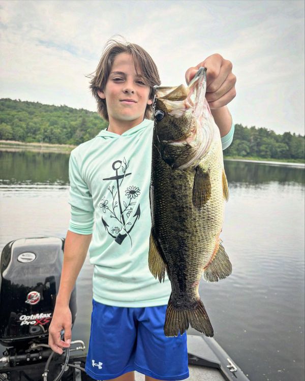 Berkshire Bass