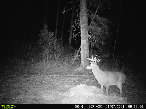 Timberlost Outfitting