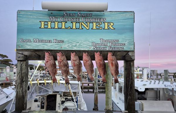 MyChance Charters