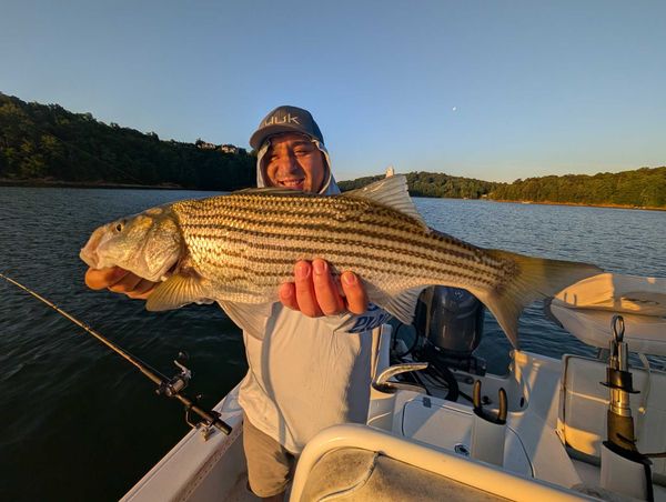 No Excuses Striper Fishing On Lake Lanier