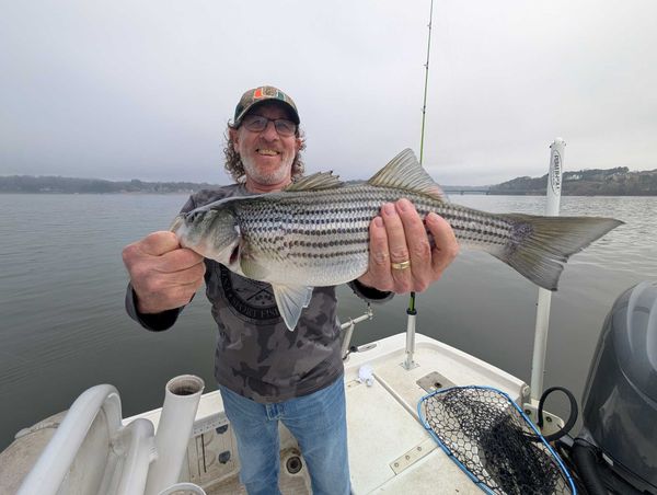 No Excuses Striper Fishing On Lake Lanier