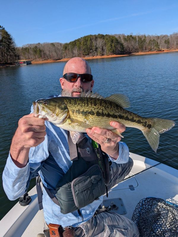 No Excuses Striper Fishing On Lake Lanier