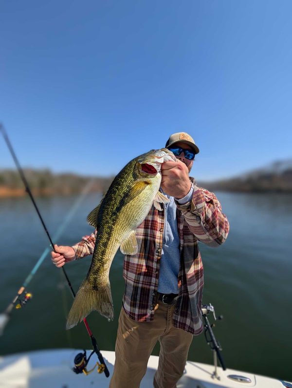 No Excuses Striper Fishing On Lake Lanier