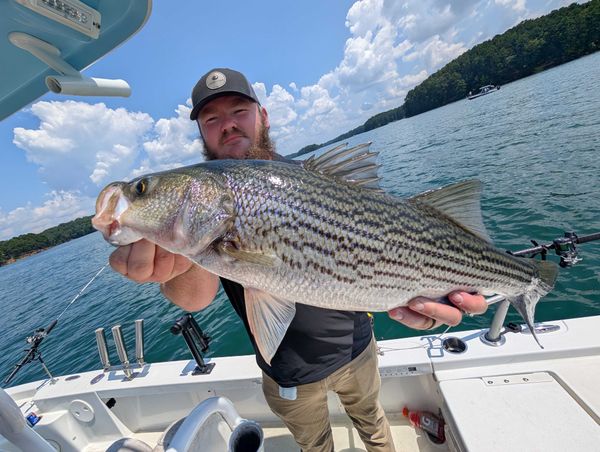 No Excuses Striper Fishing On Lake Lanier