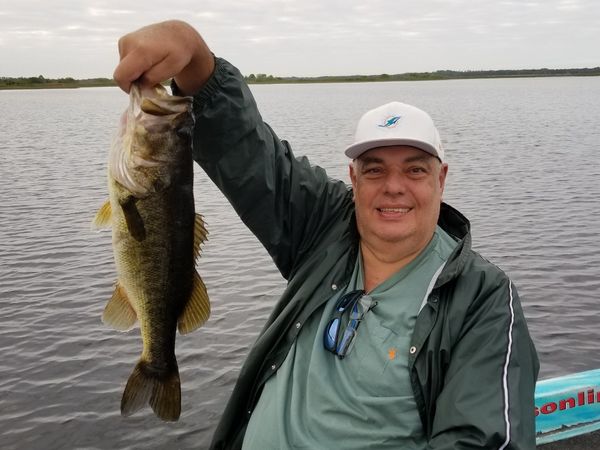 Lake Toho Guides