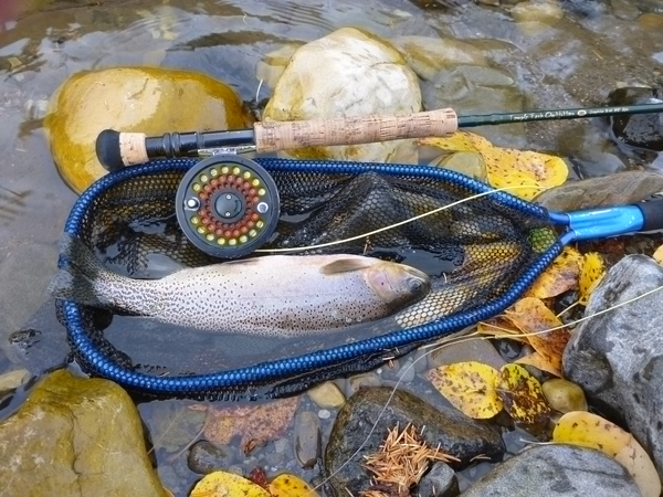 Fraser Legends Fishing
