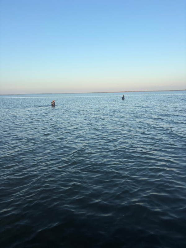 Today We Fish Charter and Adventures