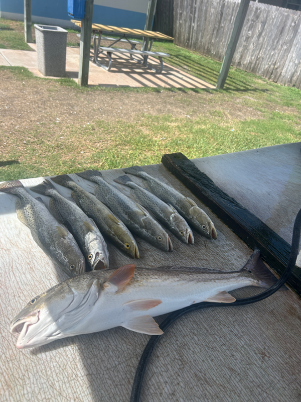 Today We Fish Charter and Adventures