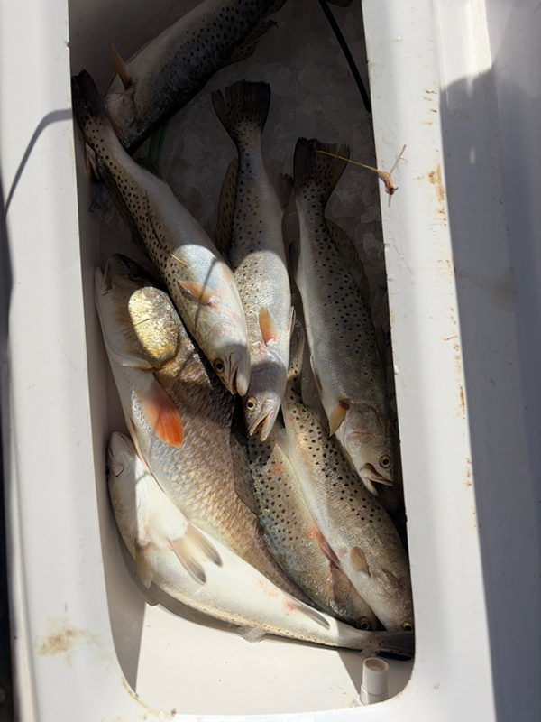 Today We Fish Charter and Adventures