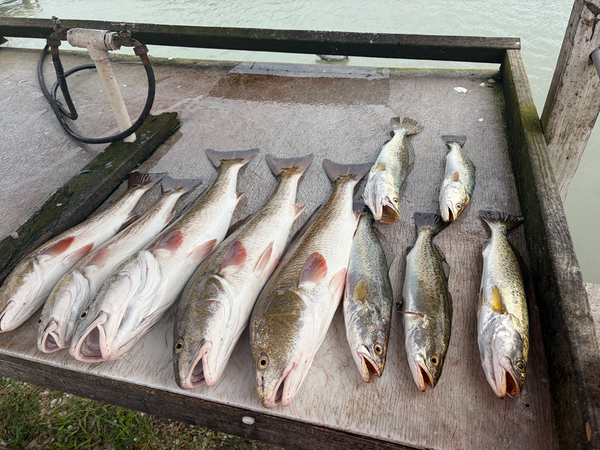 Today We Fish Charter and Adventures