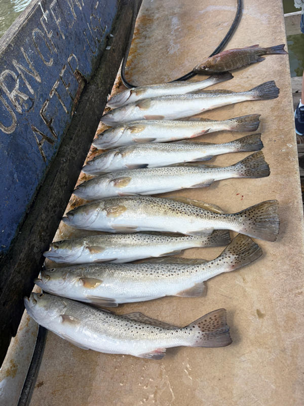 Today We Fish Charter and Adventures