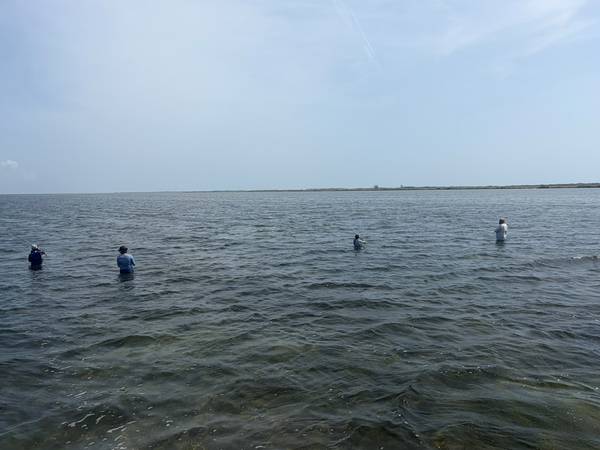 Today We Fish Charter and Adventures