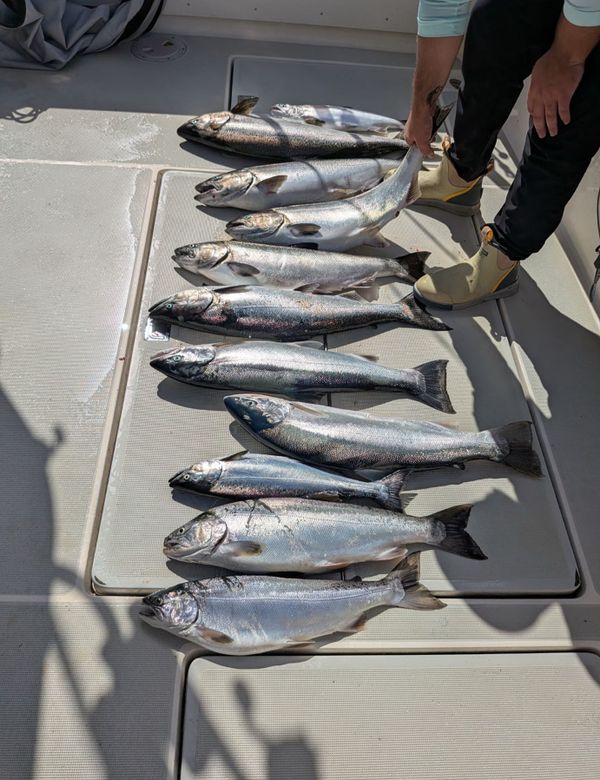 Feed-N-Time Charters