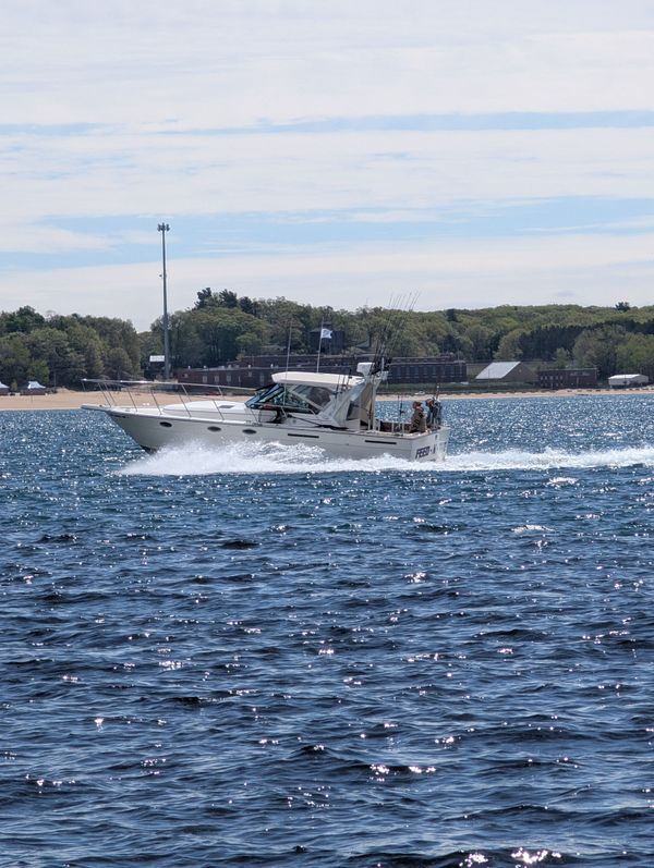 Feed-N-Time Charters