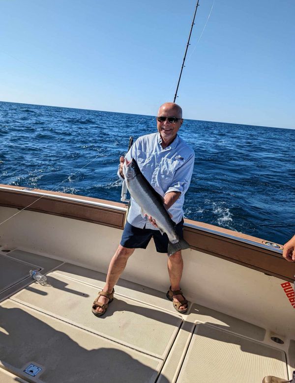 Feed-N-Time Charters