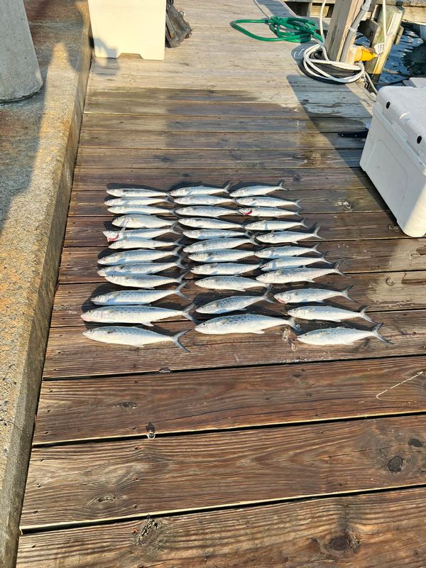 Prop-Wash Charters