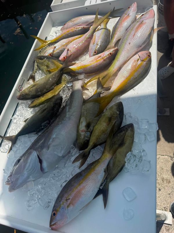 Lower Keys Offshore Adventures