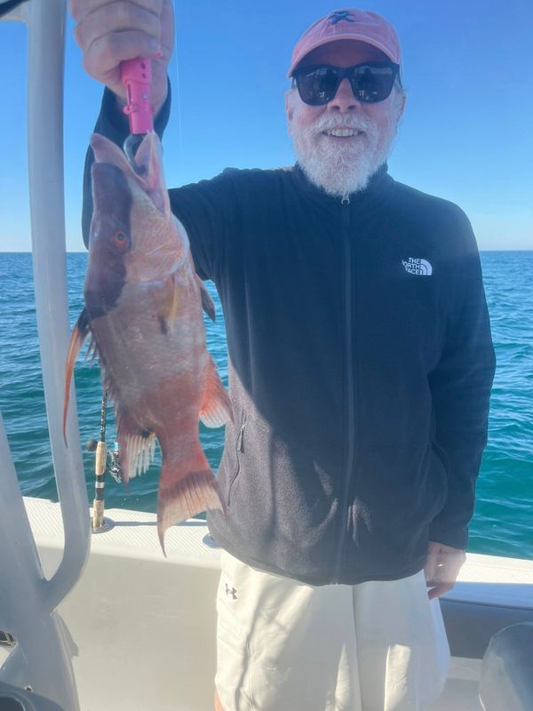 Fish Moore Charters