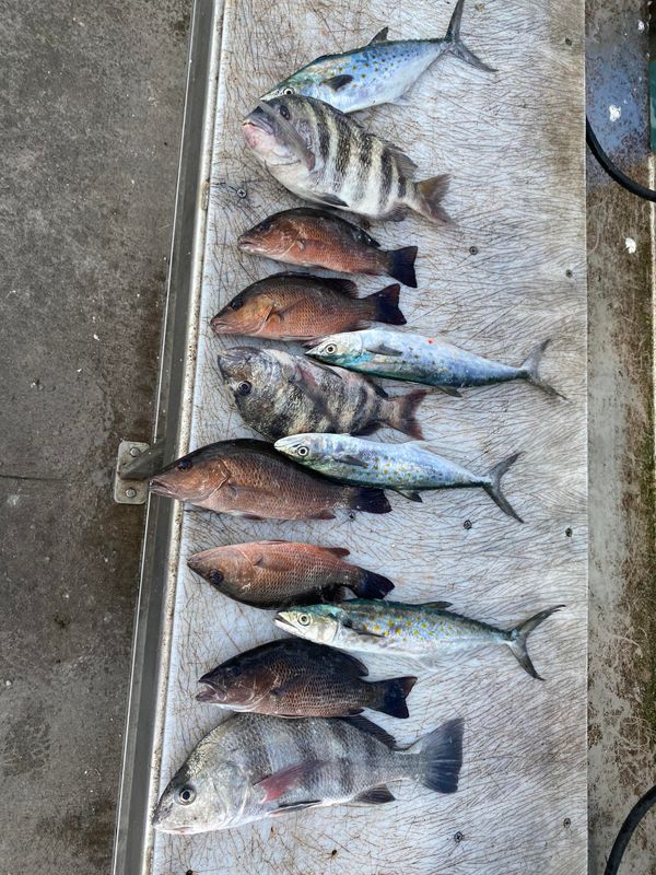 Port Fishing Charters