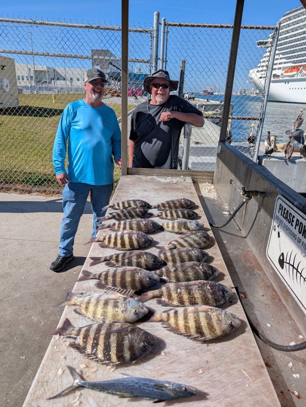 Port Fishing Charters