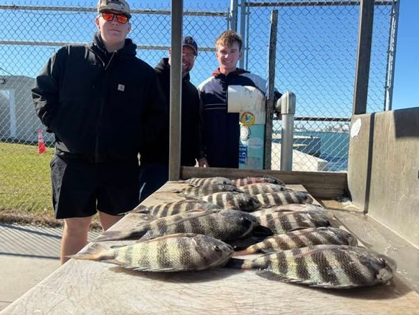 Port Fishing Charters