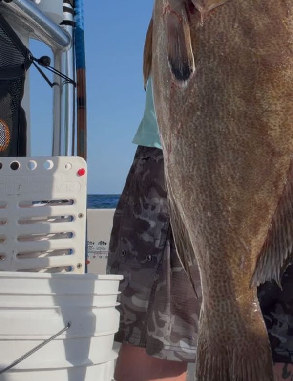 Daytona Hardcore Fishing
