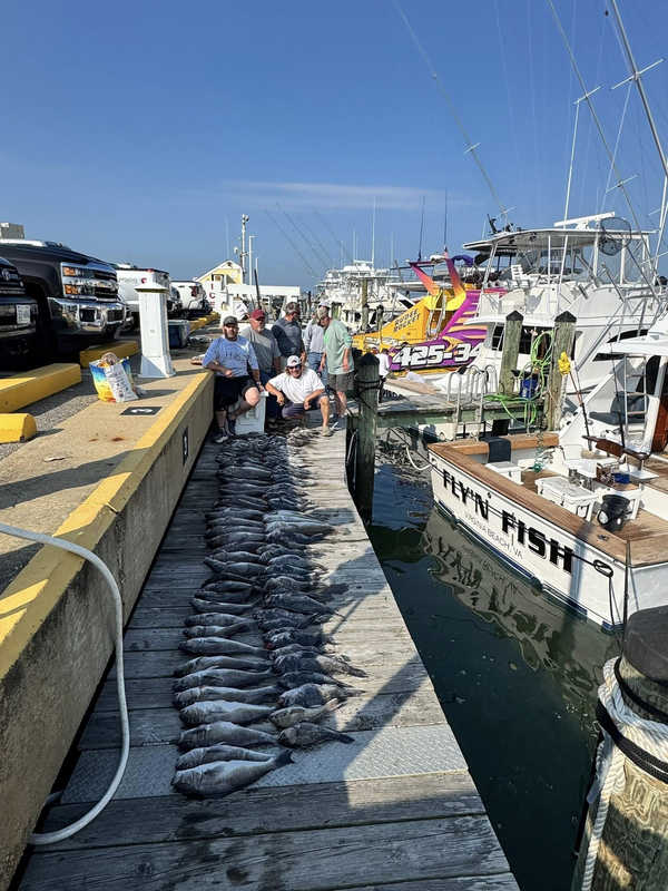 Fly’N Fish - Virginia Beach Sportfishing Charters