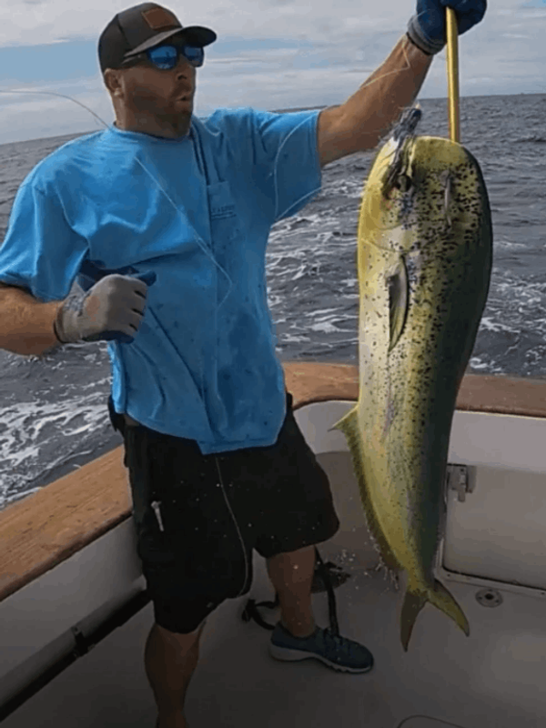 Sylva Lining Charters