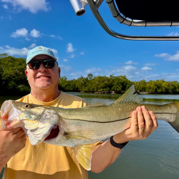 Fish The Salt Guide Service