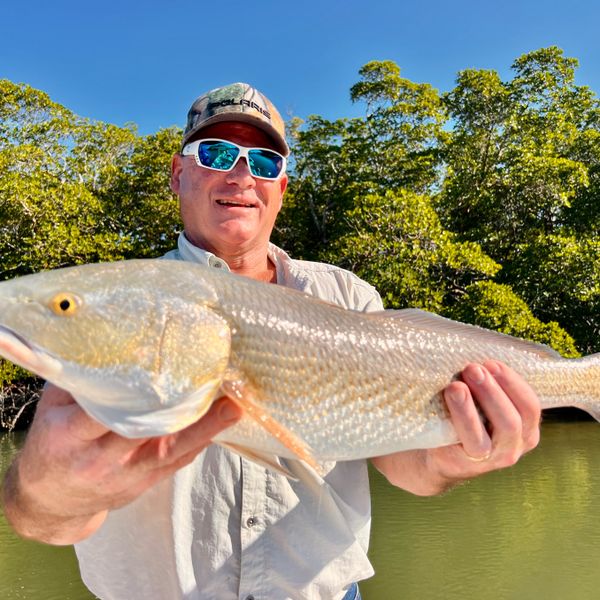 Fish The Salt Guide Service