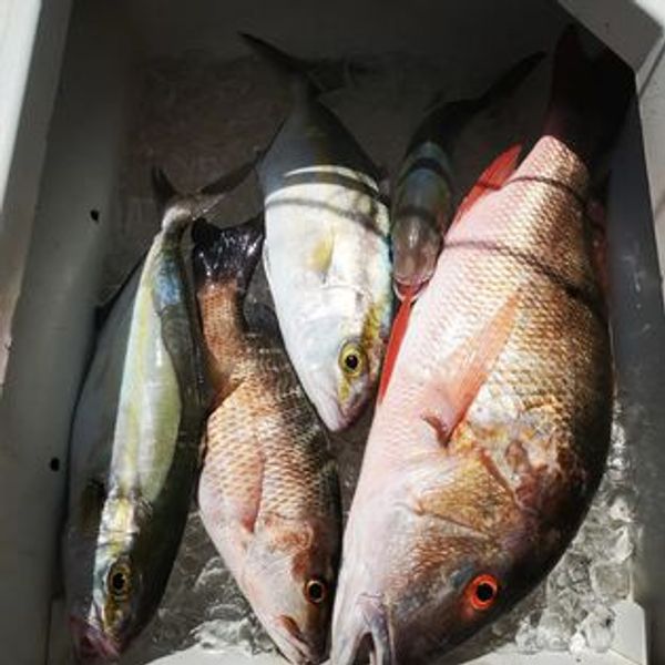 Laid Back Key West Charters