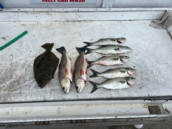 Reel Life Fishing Charters