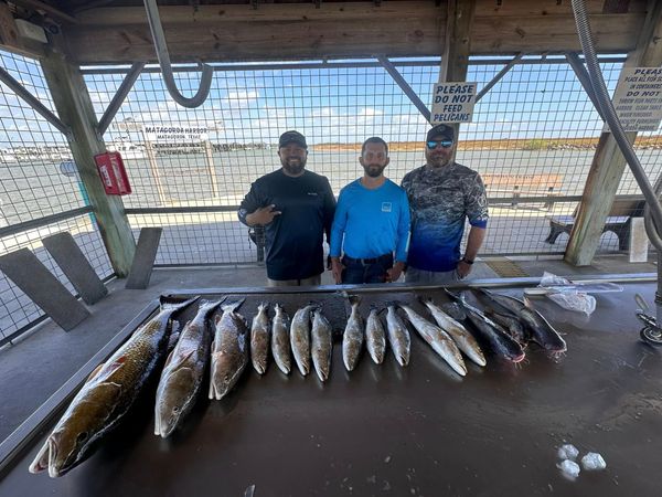 Captain Shannon’s Charters