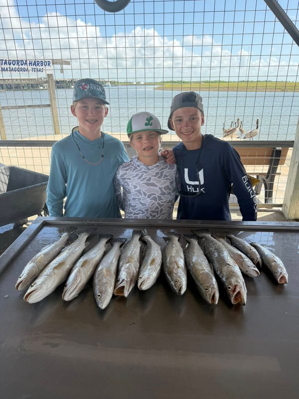 Captain Shannon’s Charters