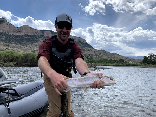 Wyoming Trout Guides