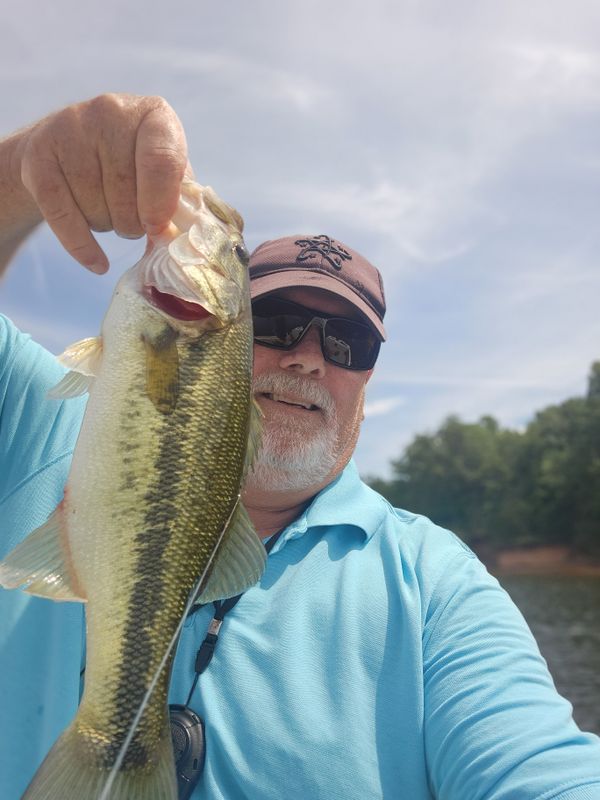 Fly Fish Fork