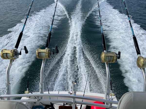 Cost Of Living Sportfishing, LLC