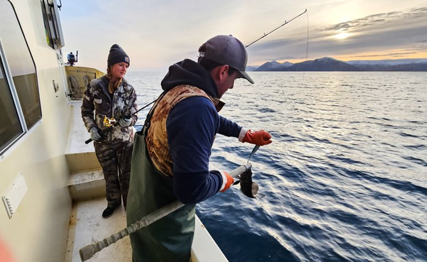 Alaskan Outlaw Adventures