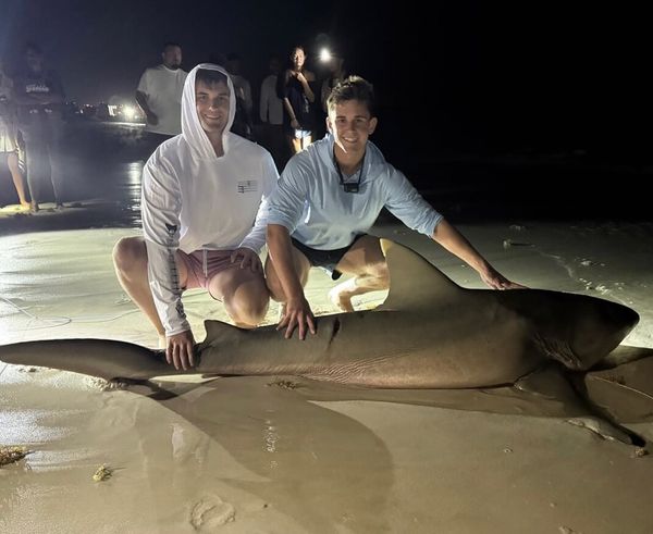 Drop Zone Fishing Charters
