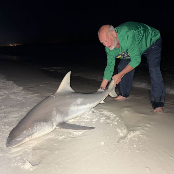 Drop Zone Fishing Charters