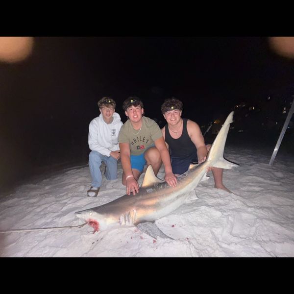 Drop Zone Fishing Charters