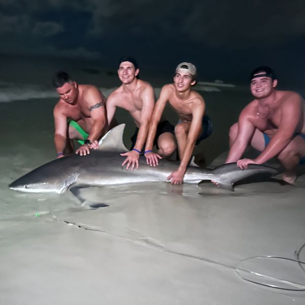 Drop Zone Fishing Charters