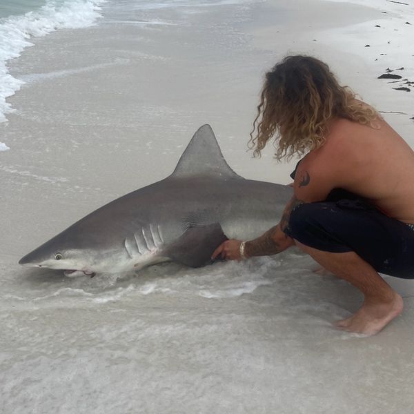 Drop Zone Fishing Charters