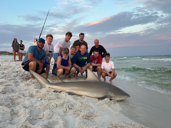 Drop Zone Fishing Charters