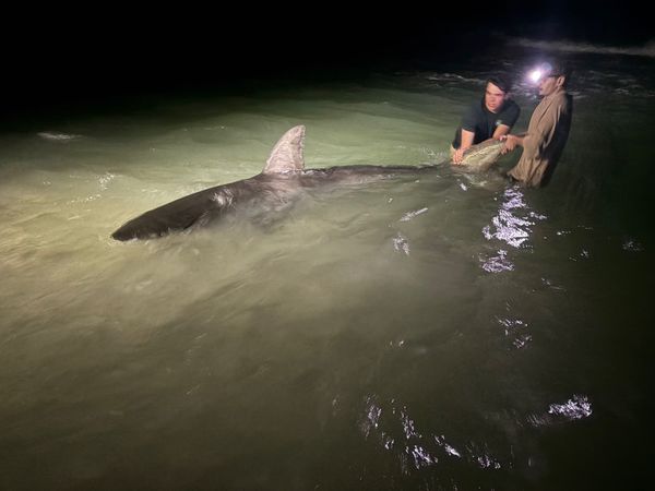 Drop Zone Fishing Charters