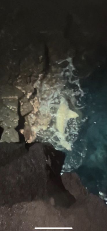 Drop Zone Fishing Charters