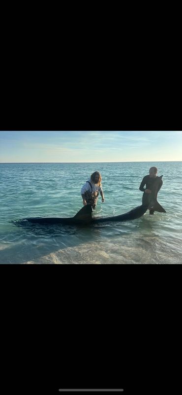 Drop Zone Fishing Charters