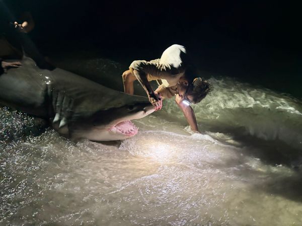 Drop Zone Fishing Charters