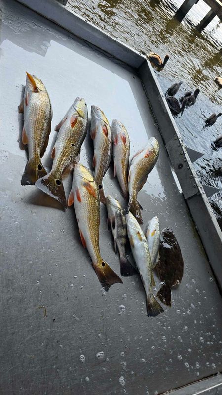 Double Hooker Fishing Charters