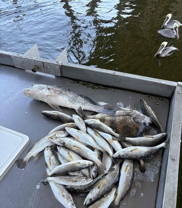 Double Hooker Fishing Charters